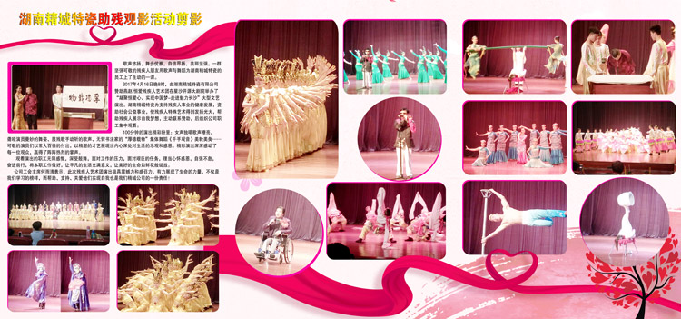 湖南pp电子赞助燕赵·恒爱残疾人艺术团圆满演出