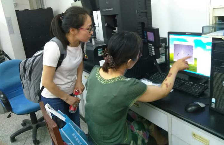 pp电子(中国)官方网站